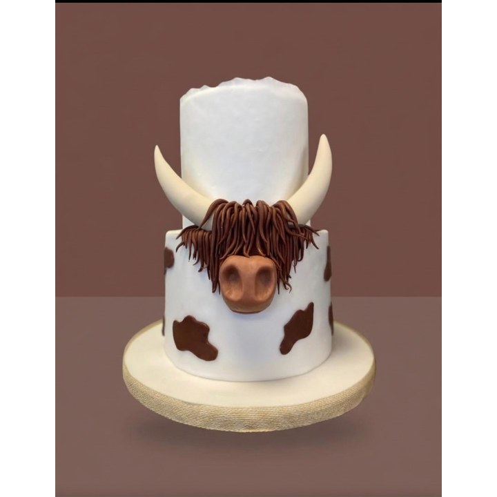 Gâteau d'anniversaire sur mesure – Layer Cake artisanal à Bruxelles, Wooly Pâtisserie