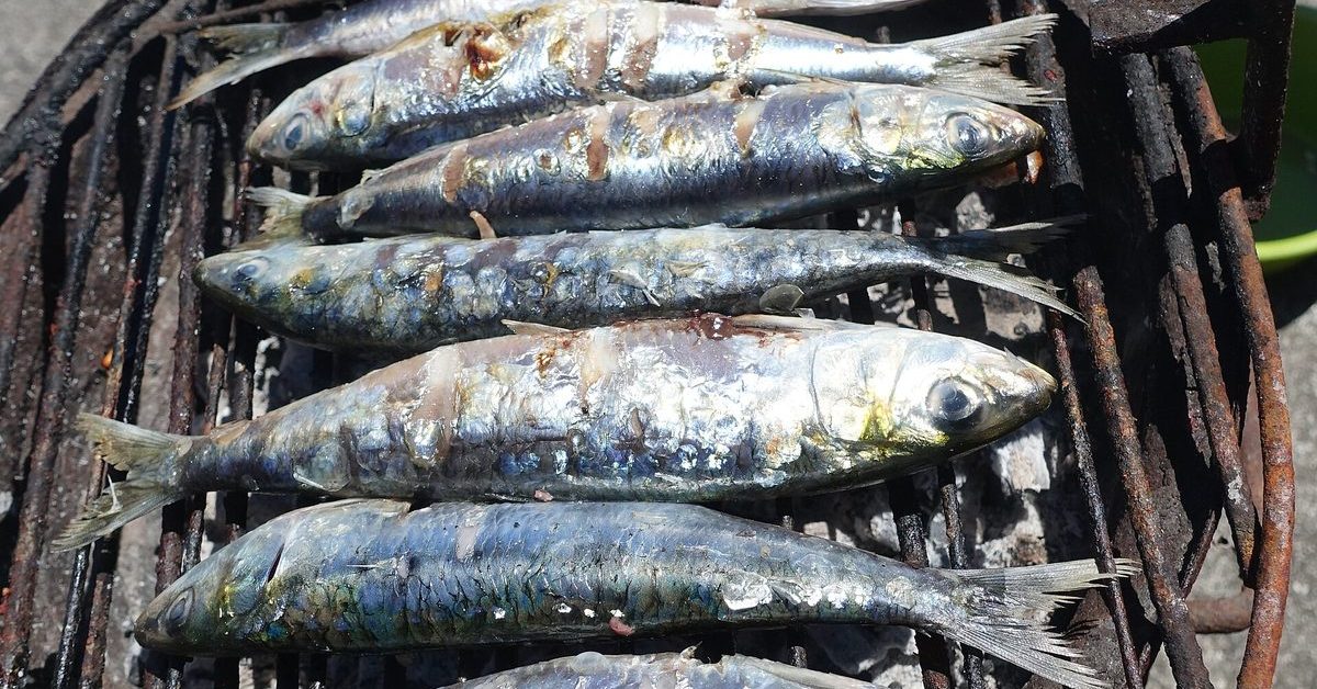 Sardines grillées sur le gril au charbon de bois